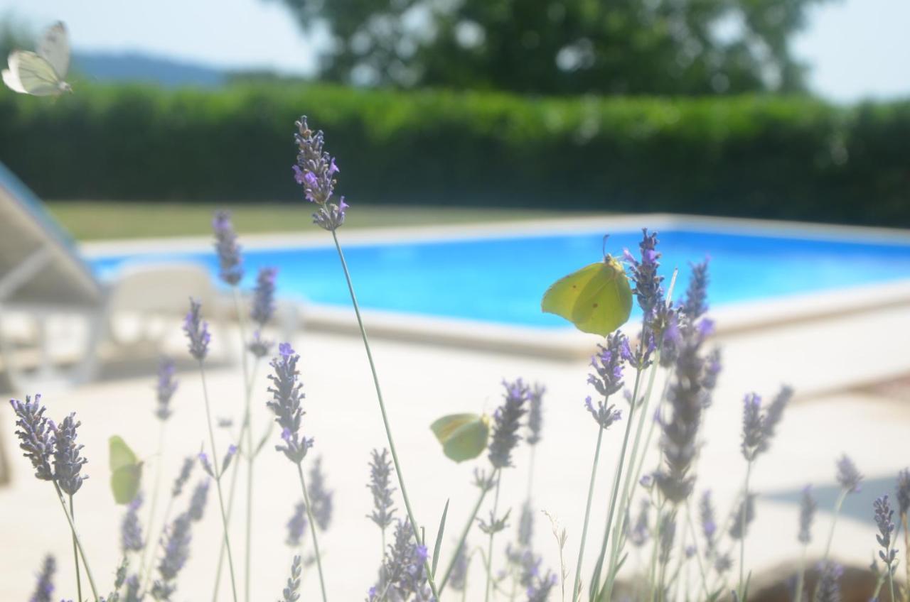 Villa Fragola - Holiday House With Large Garden Tinjan Zewnętrze zdjęcie